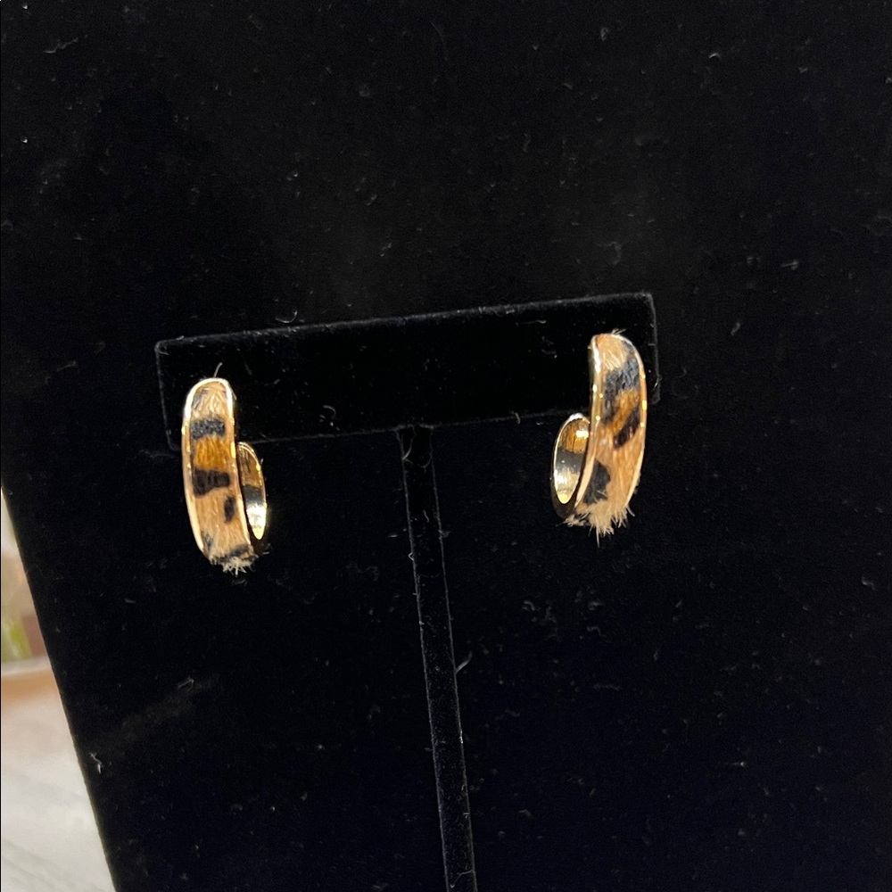 Fashion Hoop Earrings